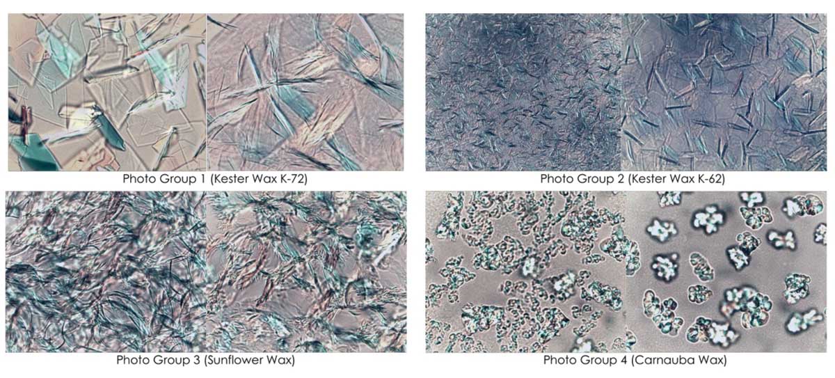 PLM Crystallization Photos at STP of natural waxes with and without Kester Wax K-70P